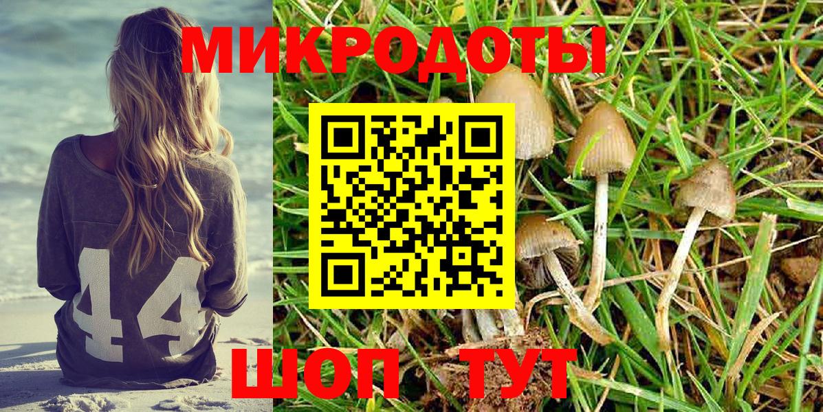 Галлюциногенные грибы мухоморы Южно-Сахалинск